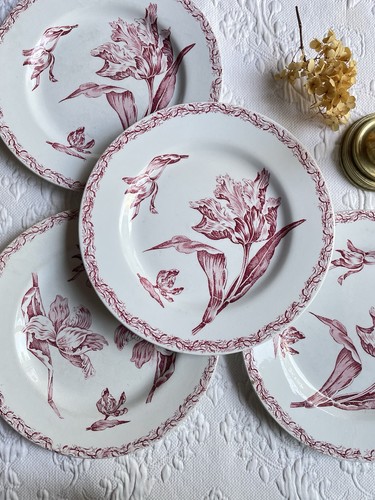 Assiettes plates terre - assiettes,