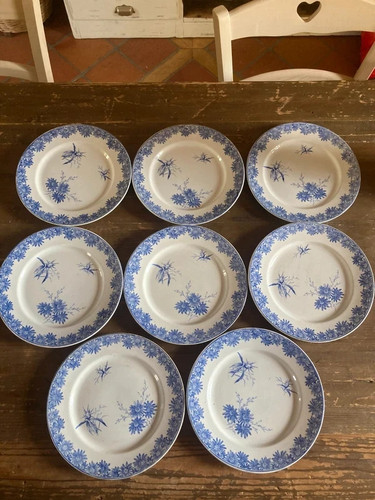 Terre fer assiettes - fer,