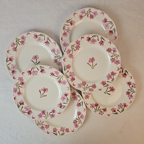 Assiettes plates décor - plates,