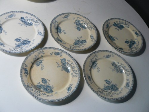 Magnifique lot assiettes - magnifique,