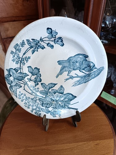 Assiette terre fer - terre,
